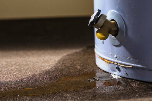 Best Local water damage restoration  in Grabill, IN