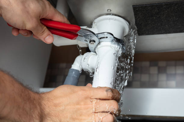 Best Professional water damage repair  in Grabill, IN