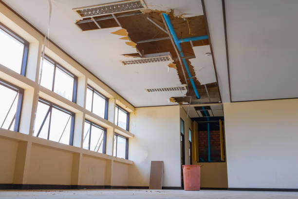Best Basement water damage restoration  in Grabill, IN