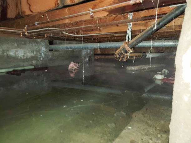 Best Water damage restoration near me  in Grabill, IN