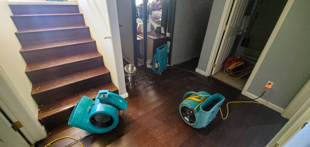 Best Sewage cleanup and water damage restoration  in Grabill, IN