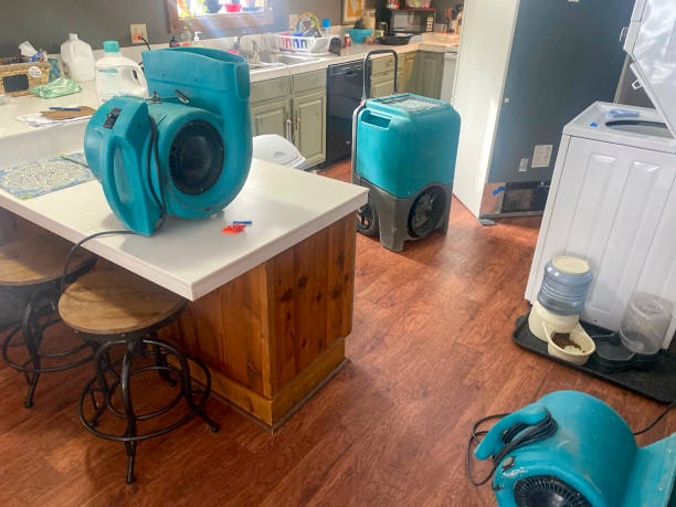 Best Flooded house restoration  in Grabill, IN