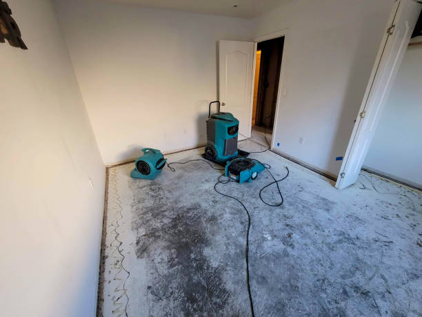 Best Residential water damage restoration  in Grabill, IN