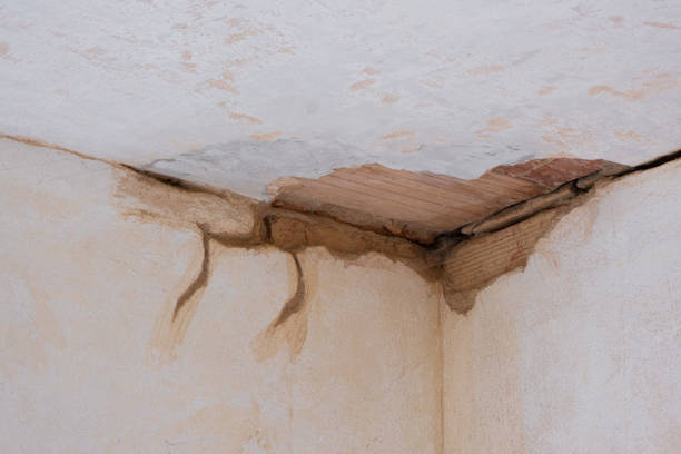 Best Local water damage restoration  in Grabill, IN