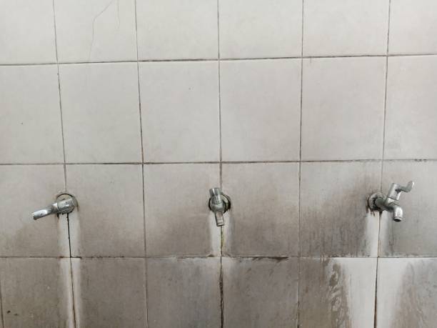 Best Water damage cleanup near me  in Grabill, IN