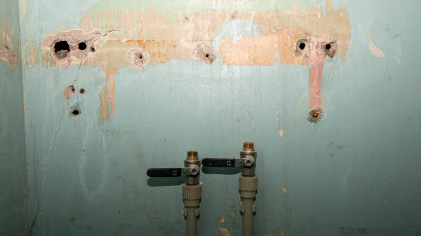 Best 24-hour water damage restoration  in Grabill, IN