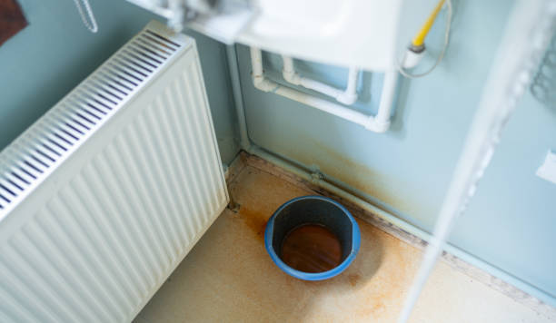 Best Flood damage cleanup  in Grabill, IN