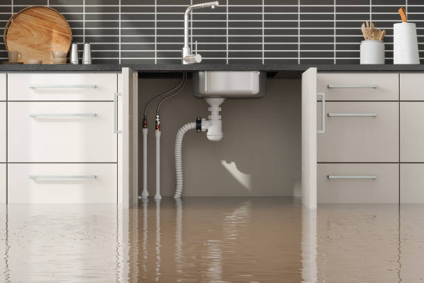 Best Ceiling water damage repair  in Grabill, IN